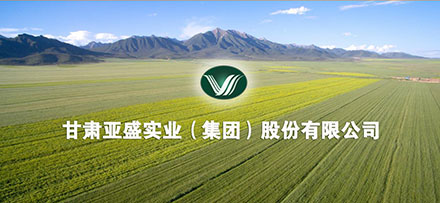 集团概况