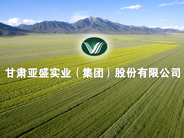 甘肃全力推动现代种业转型升级